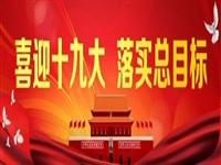 【喜迎十九大 全景看中國】美之電高頻機高歌猛進(jìn)為產(chǎn)業(yè)添翼